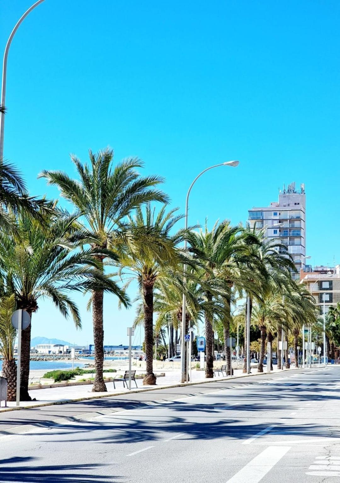 Sunshine Apartment Santa Pola Εξωτερικό φωτογραφία
